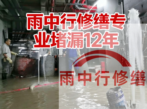 武汉中国五矿某大型污水处理厂堵漏案例